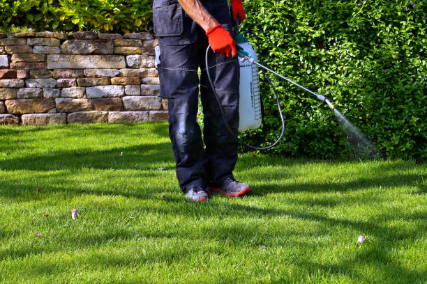 Best Pest Prevention Services  in Rohnert Park, CA